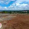 500 ac Residential Land at Lussingetti thumb 5