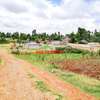 0.07 ha Residential Land in Gikambura thumb 4