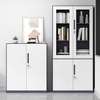 Office Cabinet : New 2-Door Office Steel File Cabinet thumb 2