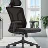 OFFICE CHAIR: Black UnVisible Office Chair thumb 0