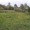 0.17 ha Land at Ngong thumb 4