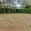 Beautiful one eighth plots in Ngong thumb 3