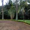 4-Bedroom Home in Muthithi Estate off Kiambu road. thumb 5