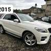 Mercedes Benz ML350 thumb 4