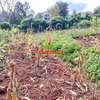 0.05 ha Residential Land at Muthiga thumb 12