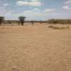 20 Acres of Land For Sale in Athi River thumb 0