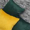 Decorative throw pillows thumb 8