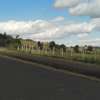 0.1 ha Residential Land in Kitengela thumb 6