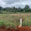 0.05 ac Land at Kikuyu thumb 9