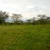 1 Acre Land For Sale in Elementaita , near Kikopey thumb 5