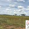 0.125 ac Land at Subukia - Kanyotu - Marana - Nairobi Estate thumb 3