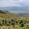 4 Days Masai Mara Lake Nakuru Group Joining Safari thumb 1