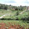 0.5 ac land for sale in Loresho thumb 7