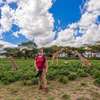 I Day Lake Naivasha & Crescent Island Tour thumb 2