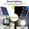 50W LED solar streetlight with radar light sensors thumb 1