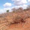 4 To 5 Acres Available For Quick Sale in Makindu Town thumb 1