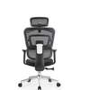 Office Chair: Mesh Orthopedic Designed Office Seat thumb 1
