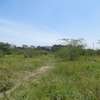 23,796 m² Commercial Land at Nyasa Road thumb 2