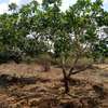 30 acres of land for sale in Makindu Makueni County thumb 4