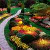 Hire Skilled Gardeners in Kiambu Today | Call Now Today thumb 6