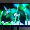 TAJ 40" Digital LED TV thumb 0
