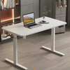 Office Desk;Contemporary Multifunctional Elite Standing Desk thumb 2