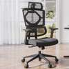 Office Chair: Rolling Office Seat With Lumbar Head & Support thumb 0