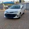Toyota Corolla AXIO Manual 2019 model white color thumb 69