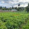 4,000 m² Land in Limuru thumb 11
