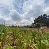 500 m² commercial land for sale in Kikuyu Town thumb 6