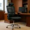 Office Chair: Orthopedic High Back Office Seat thumb 1