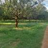 0.5 ac Land at Thika Grove Chania-Opposite Blue Post Hotel thumb 7