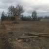 0.5 Acres in Ruai thumb 3