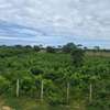 1 acre for sale in Diani thumb 3