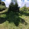 50 by 200 plot for sale in Kitisuru thumb 0