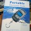 Portable Scale 50kg thumb 1