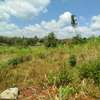 1 ac Land in Kiambu Road thumb 0