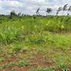 0.05 ha Residential Land in Kikuyu Town thumb 2