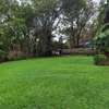 10 Bed House with En Suite at Lavington thumb 11