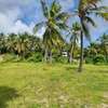 2.6 ac Land at Kikambala thumb 8