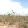 0.25 ac Residential Land at Diani Beach Road thumb 12