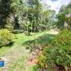 5 Bed House with Garden at Old Muthaiga thumb 19