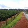 475 Acres For Sale in Thika thumb 0