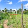 0.075 ha Residential Land at Ondiri thumb 3