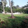 3 Bed House with En Suite at Palm Road thumb 17
