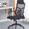 Spine Mesh Back High Back Ergonomic Office Chair thumb 0
