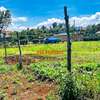 0.1 ha Residential Land in Gikambura thumb 35
