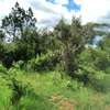 Ideally Located 1/4 Acre Plots With Forest Mt Kenya View thumb 4