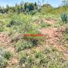 0.05 ha Residential Land at Lusigetti thumb 9