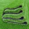 4. Grass carpet thumb 1